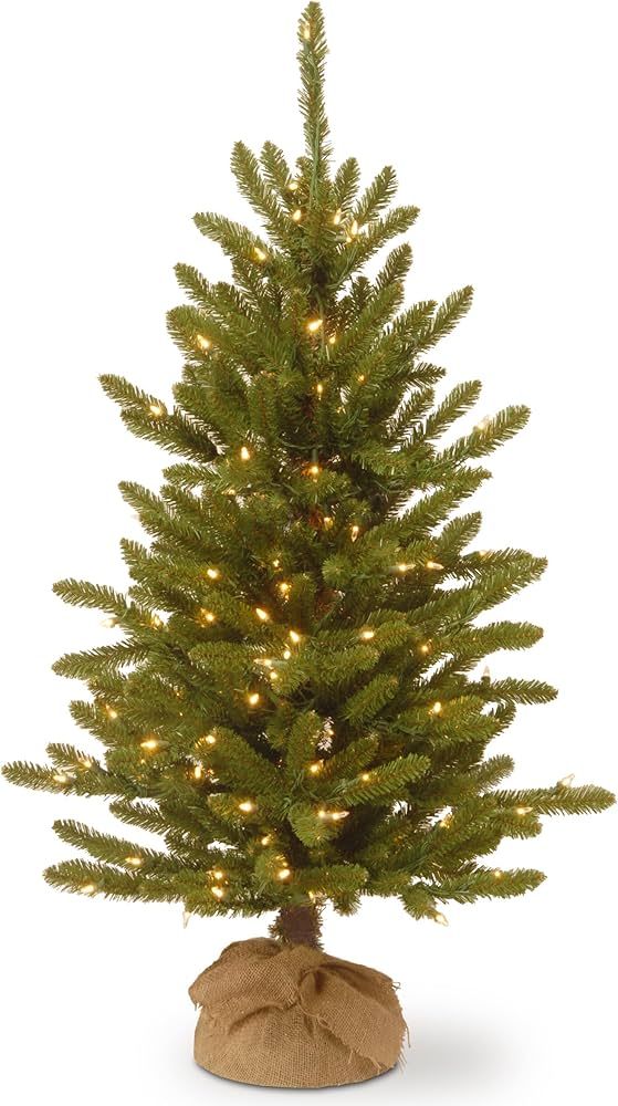 National Tree Company Pre-lit Artificial Mini Christmas Tree | Includes Small Lights and Cloth Ba... | Amazon (US)