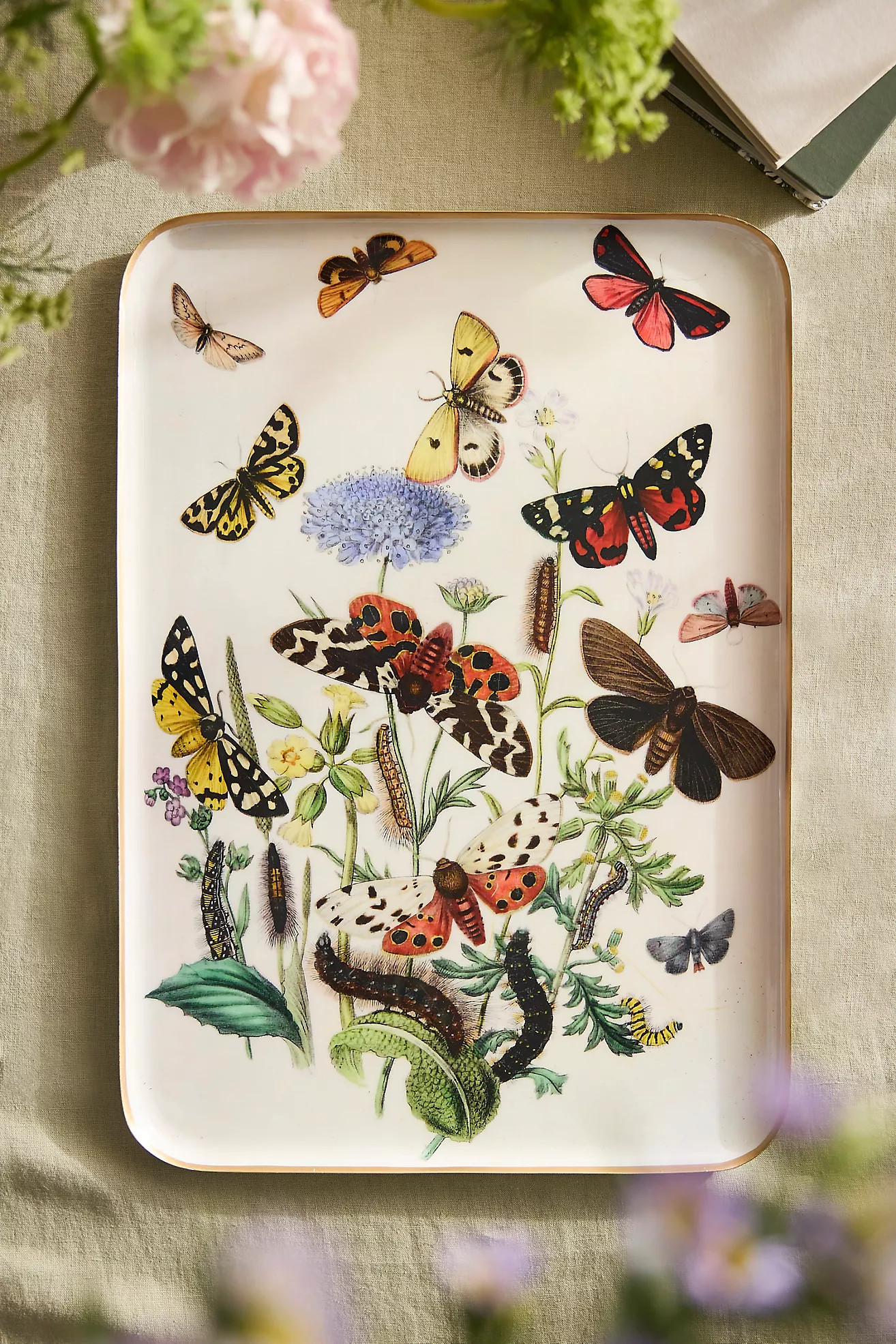 Printed Archival Tray, Extra Large | Anthropologie (US)