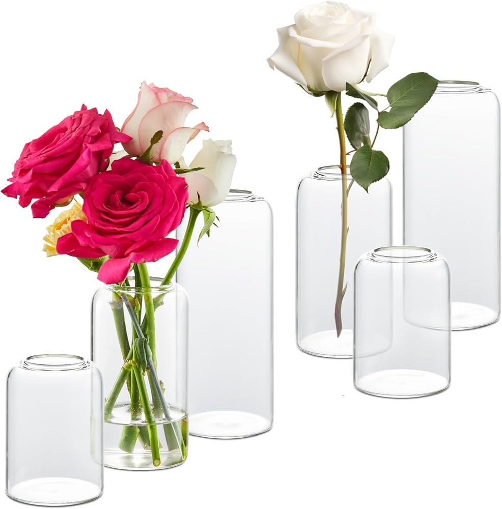 Glass Bud Vases Set of 6, Glass Cylinder Vases for Centerpieces, Bud Vases in Bulk for Wedding Party Dining Table Centerpieces, Living Room Decorative, Home Decor | Amazon (US)