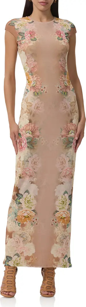 Cody Floral Print Cap Sleeve Dress | Nordstrom