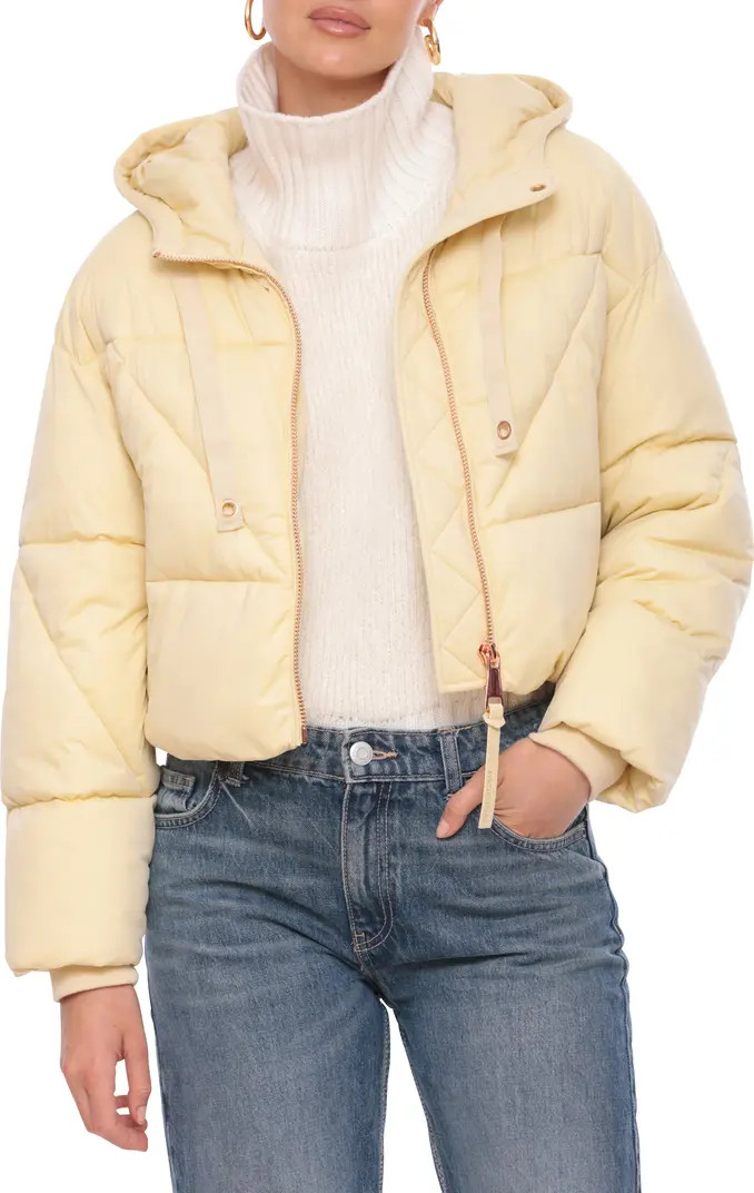 Cropped Hooded Puffer Coat | Nordstrom Rack