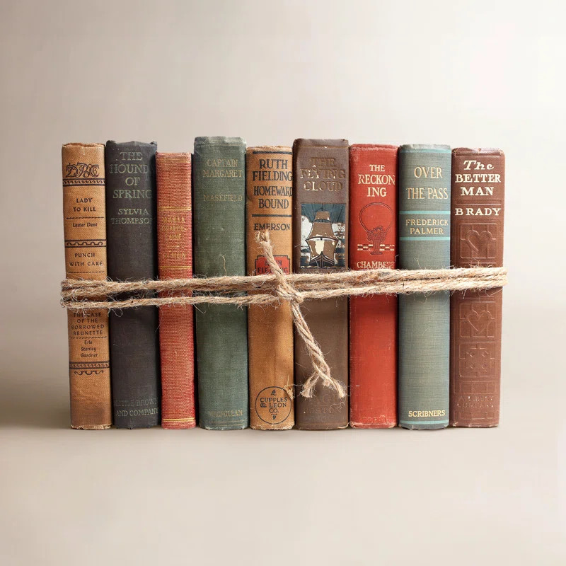 Vintage Cabin Serefina Decorative Book Set | Wayfair North America