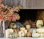Faux Pumpkins & Gourds | Pottery Barn (US)