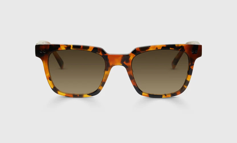 In Cahoots Sunglasses | eyebobs 