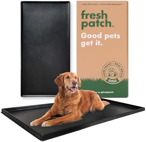 Fresh Patch Plastic Tray for XL Real Grass Pee and Potty Training Pads for Large Dogs and Multi-D... | Amazon (US)