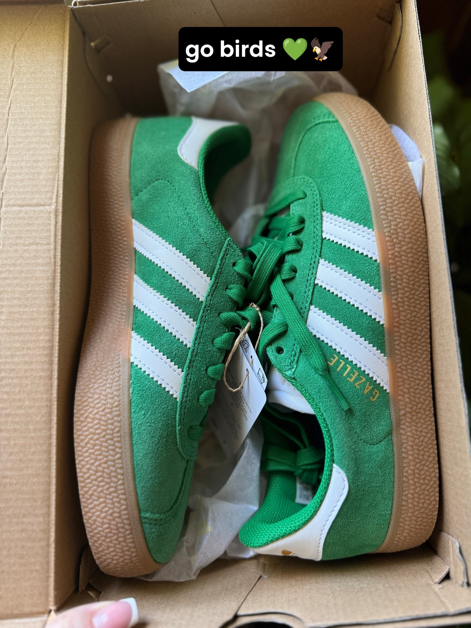 Eagles green sneakers 🦅💚 #eagles #phildadelphiaeagles #gobirds #kellygreen #greensneakers

#LTKFindsUnder100