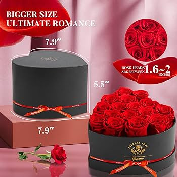 16-Piece Preserved Rose Birthday Gifts for Women, Eternal Rose Preserved Flowers for Delivery Pri... | Amazon (US)