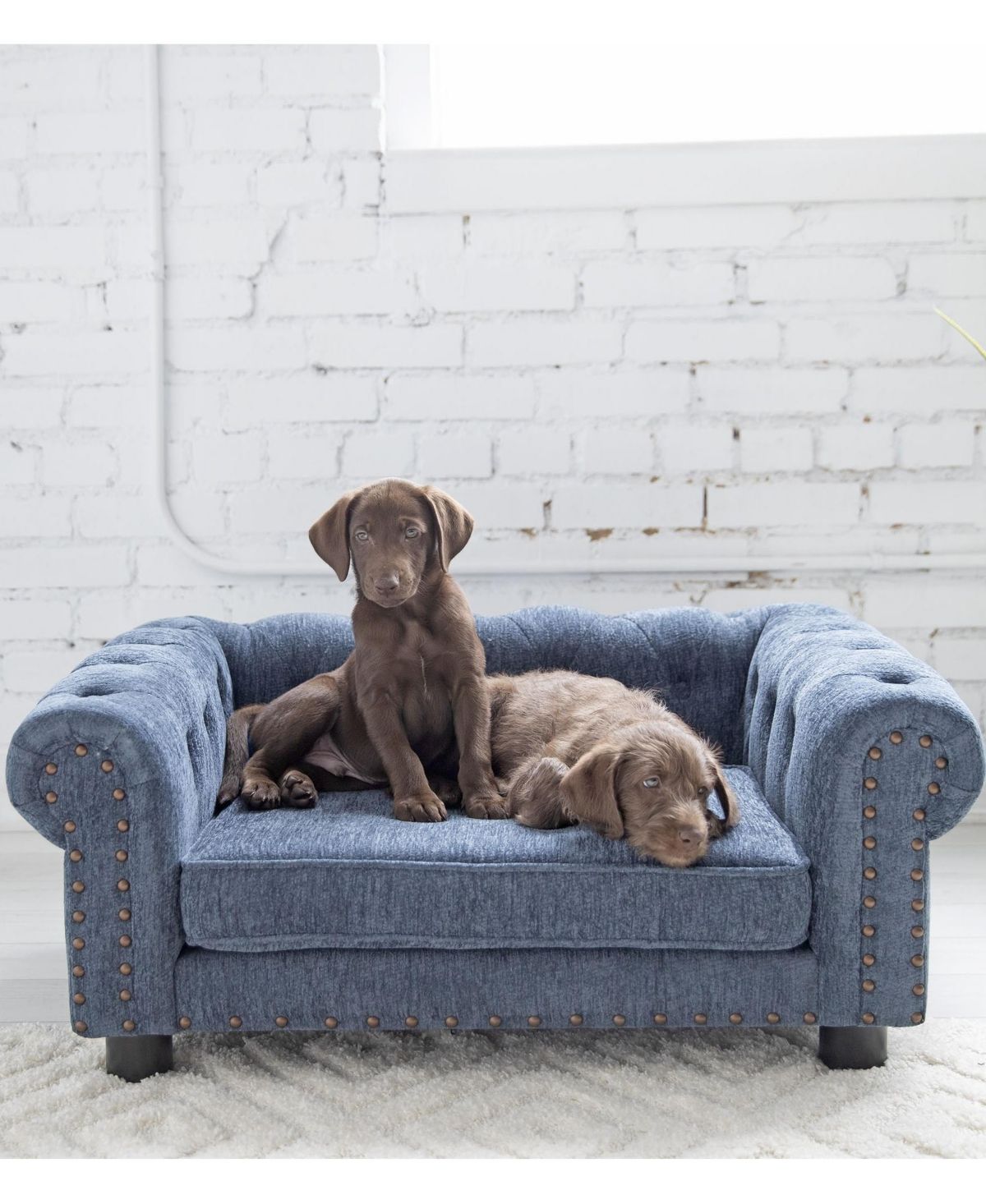 La-z-Boy 35" x 27" Furniture Tuscon Sofa Dog Bed | Macys (US)