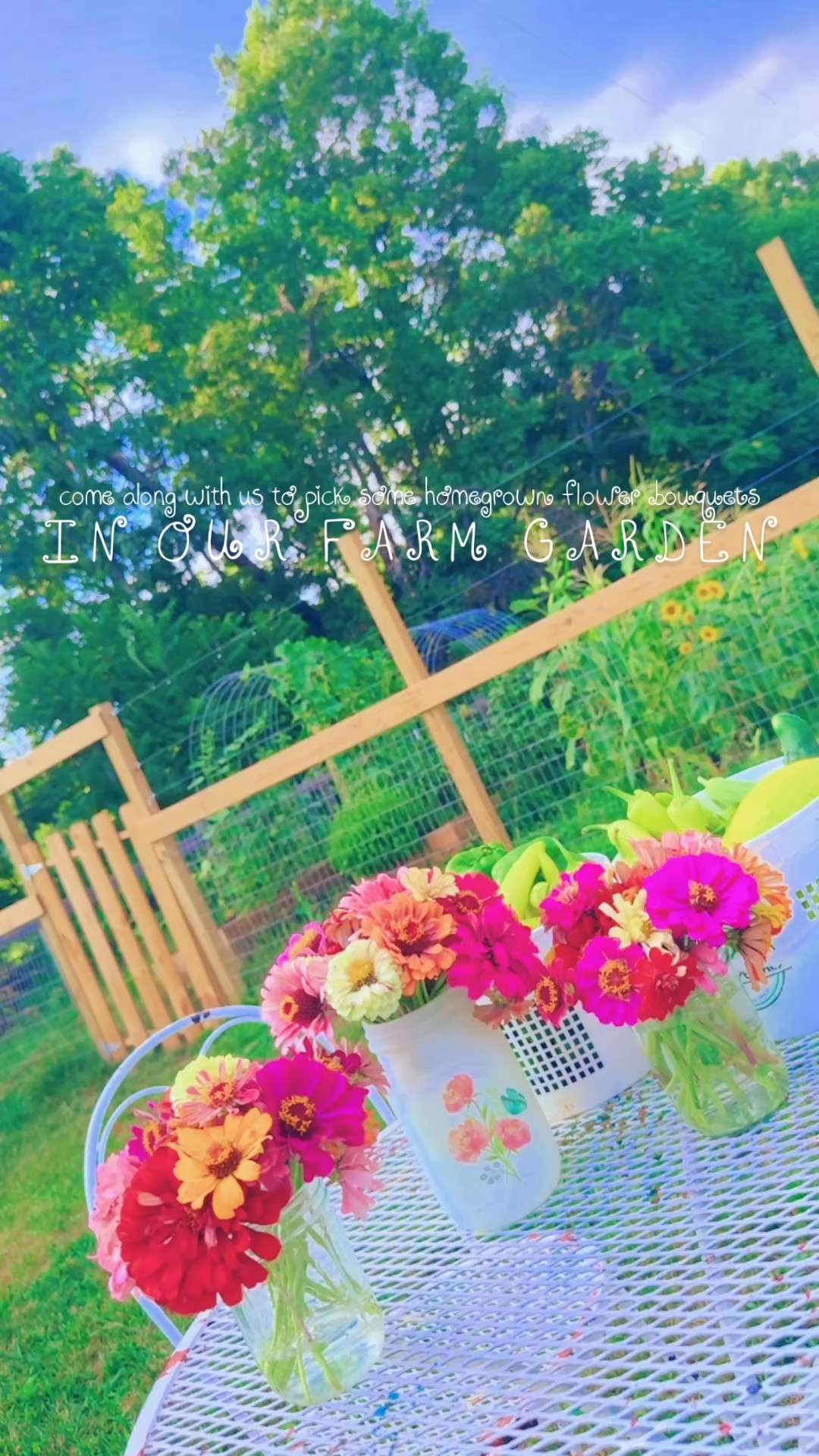 Come along with us to pick some homegrown flower bouquets from our farm garden 💐🪴👩‍🌾🌸🦋🌻🌾🪻🪷 #homegrownflowers #zinniaseason #farmgarden #farmcutflowers 

And while we were picking alllll the stunning and vibrant zinnias 💐 surrounded by sunflowers 🌻 and butterfly 🦋 friends saying hi 👋🏼, the boys 👶🏼🩵👶🏼 and “Dada” 🥰 also filled up two more (!!) baskets 🧺 of homegrown peppers 🌶️ 🫑 and cucumbers 🥒 (& some okra 🌱, too)!! 🫶🏽 I can’t get over how gorgeous 😍 and colorful 🩷🧡💜💛 my mason jar 🫙 bouquets 💐 turned out 🤩 and I’m excited to get to bring one to a sweet friend for a play date tomorrow!! 🥰 There is truly nothing better than homegrown, farm fresh flowers y’all!! 🌼🏺☀️🌾 #zinniaseasonishere