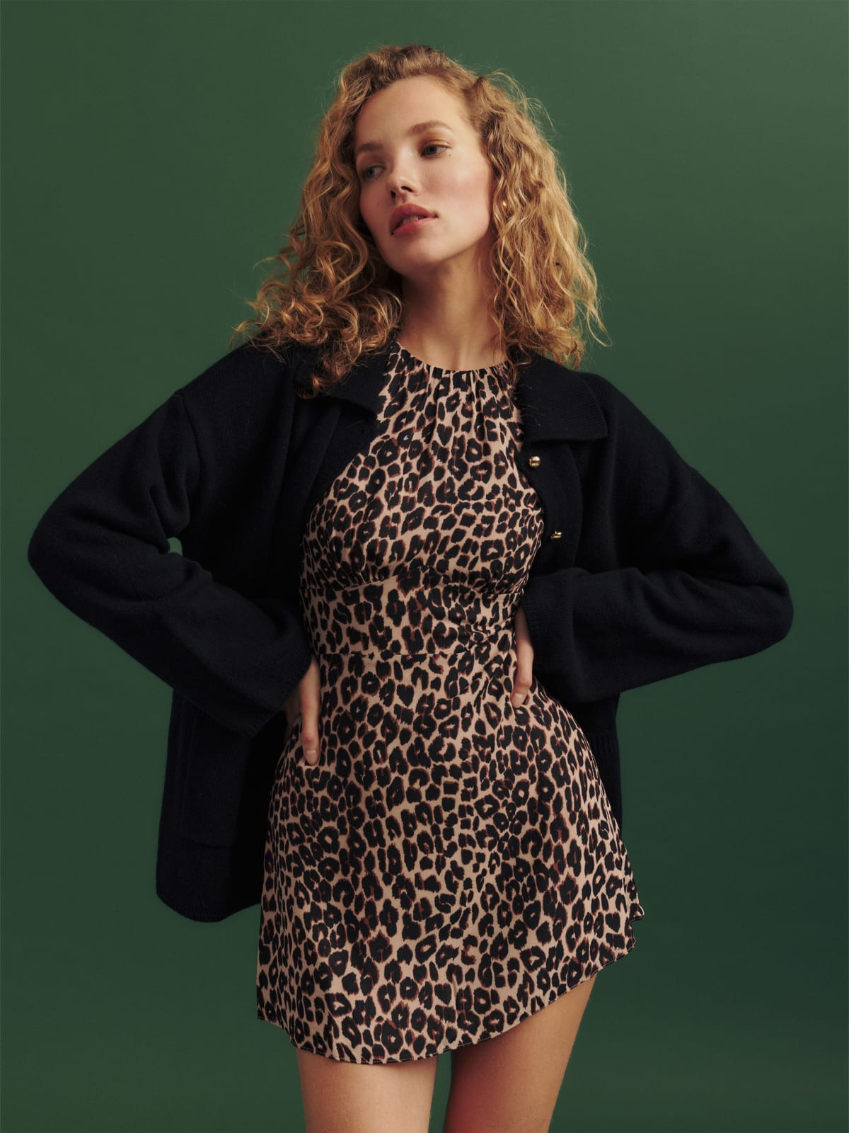 Laken Dress | Reformation (Global)