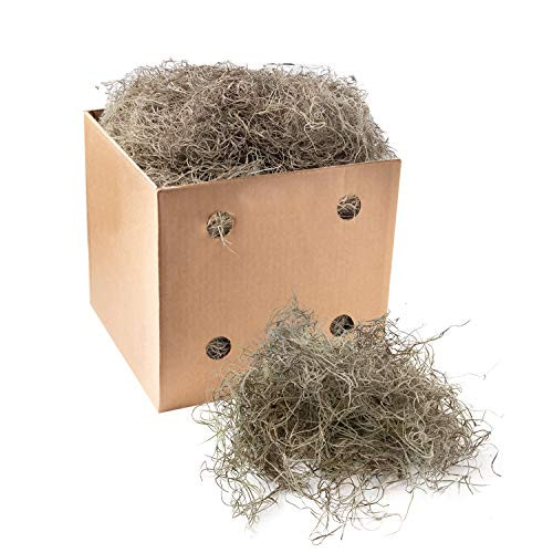 Royal Imports Preserved Natural Spanish Moss, Fresh Dried Shredded Loose Chunks, 3 LB Bulk Case | Amazon (US)