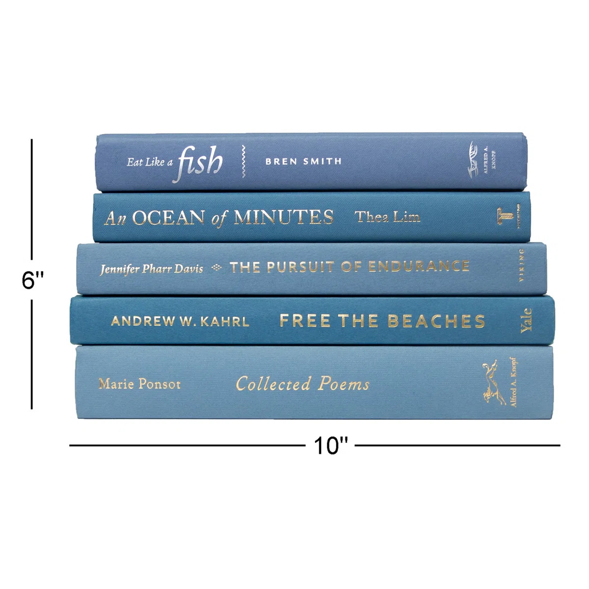 5-Piece Blue Decorative Object | Birch Lane