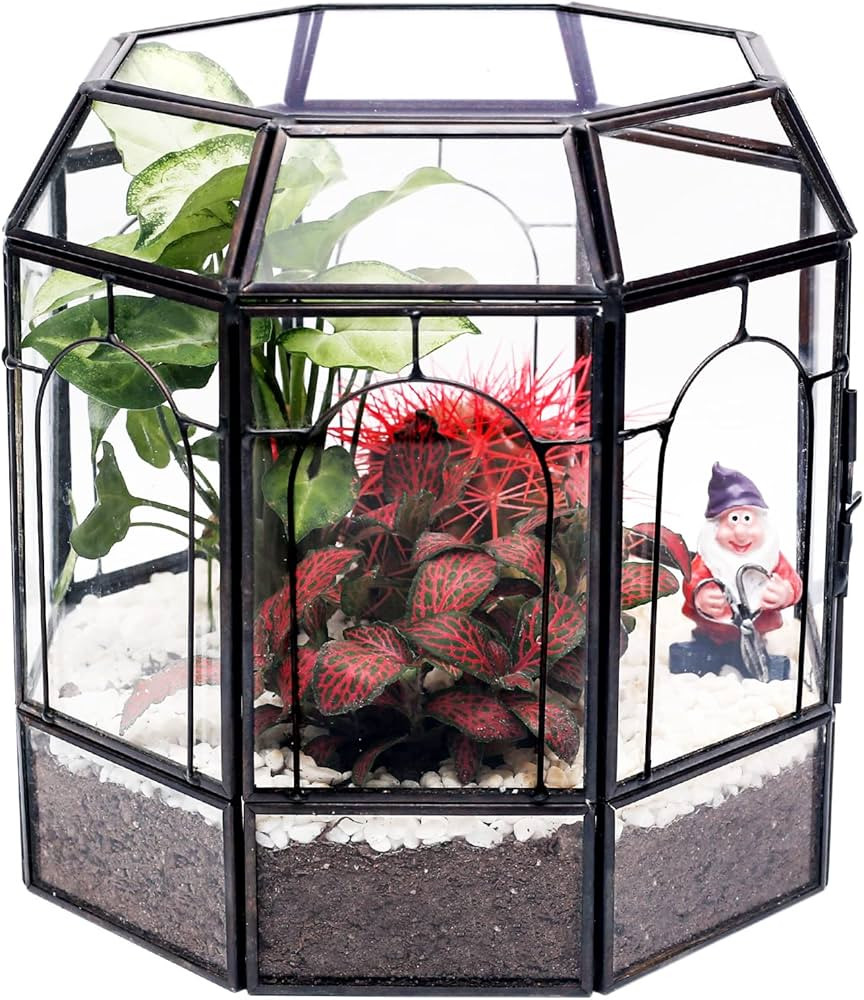 Large Glass Terrarium Handmade, Centerpiece Display Box Gift Planter Containers Indoor Terrariums... | Amazon (US)