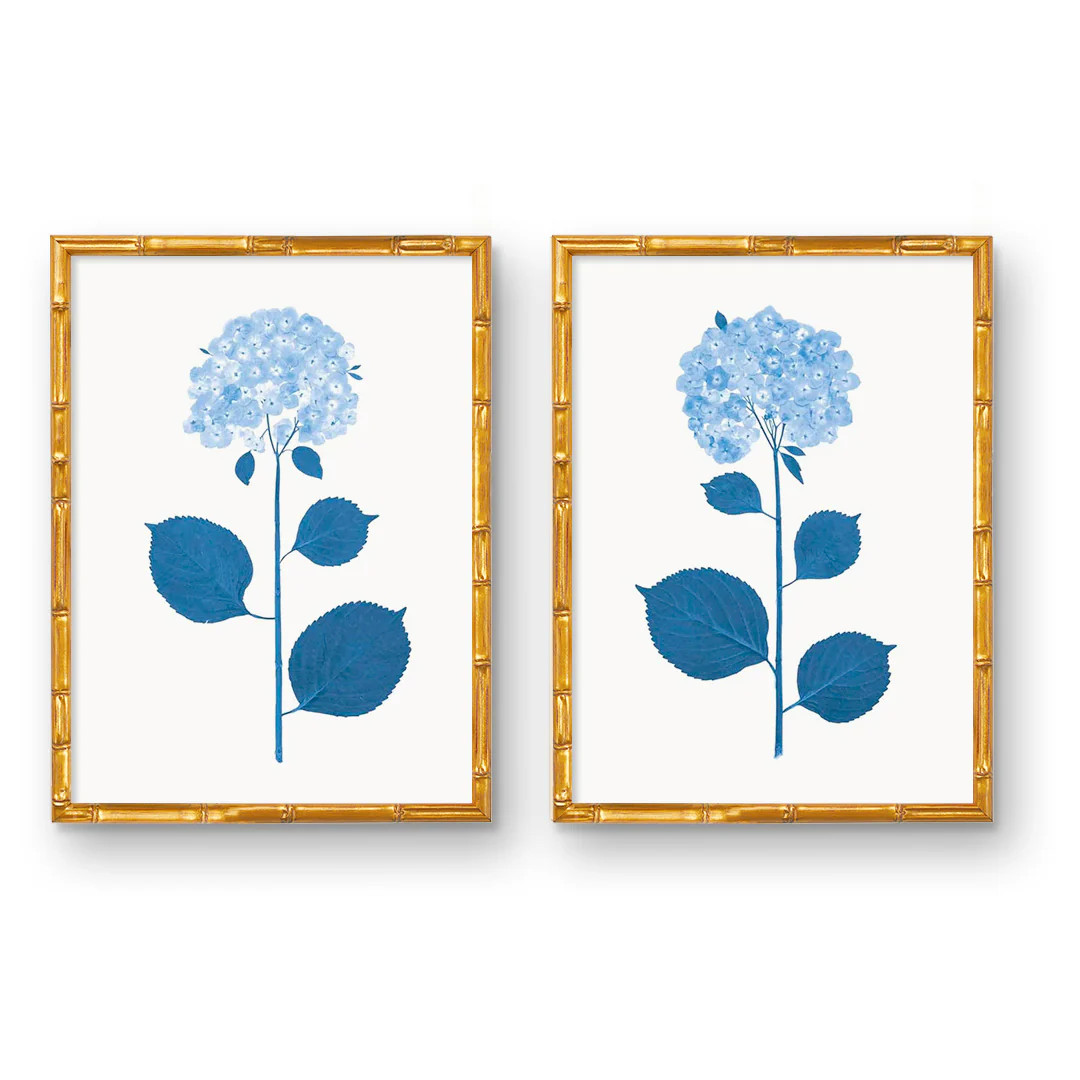 Live Real Hydrangea Art Prints | Multiple Sizes Available | Wholesale | Urban Garden Prints