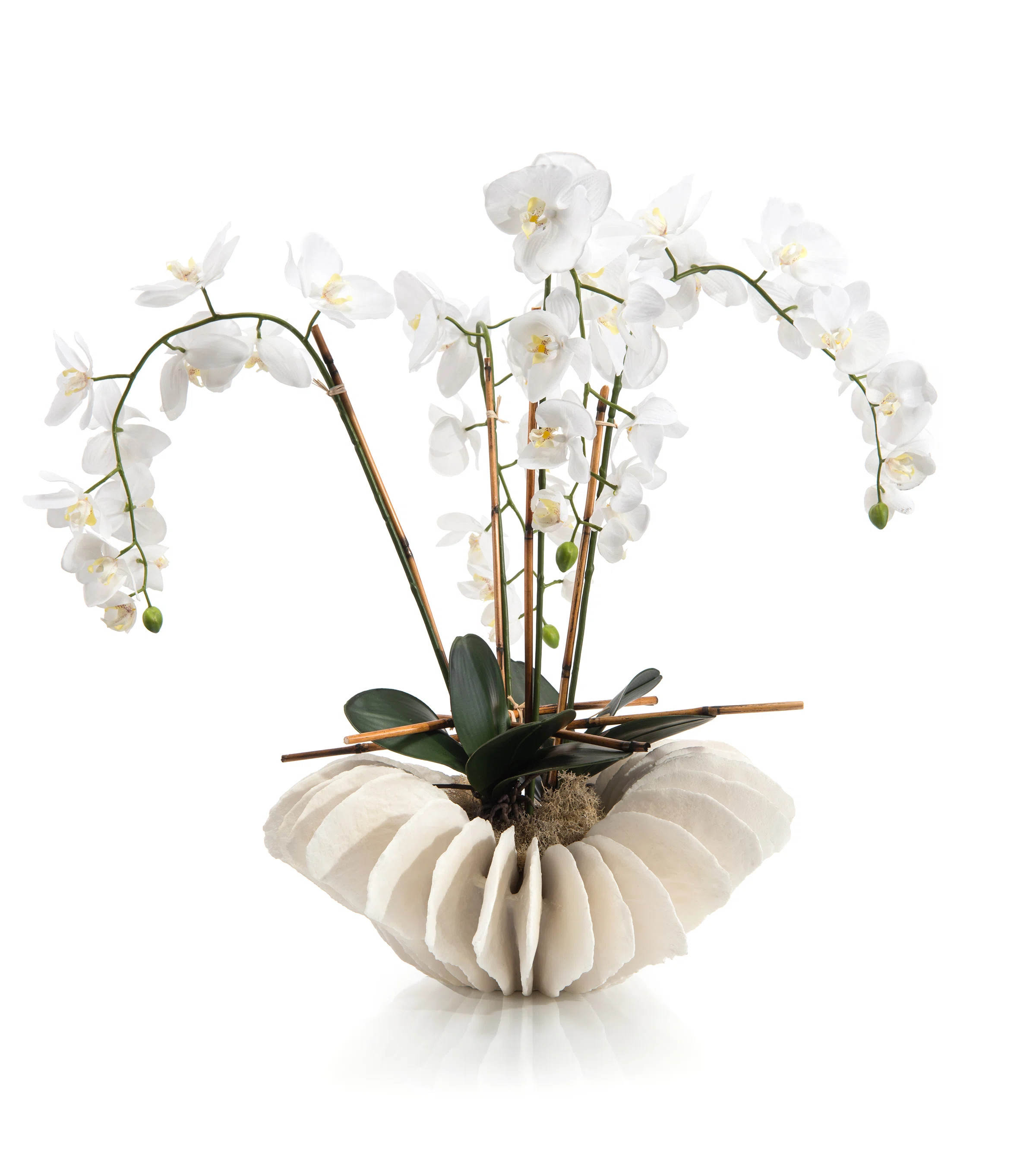 John-Richard | Perigold