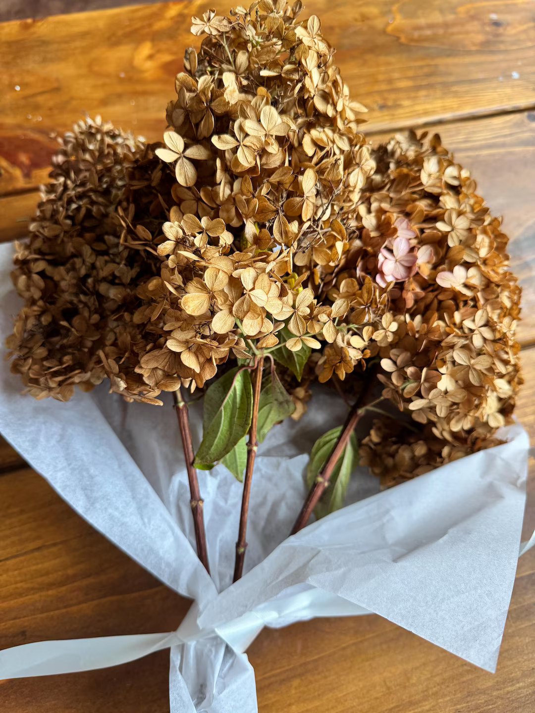3 Stems Dried Beige Limelight Hydrangea: Flower Heads, DIY Craft Supply, Home Decor, Wedding Deco... | Etsy (US)