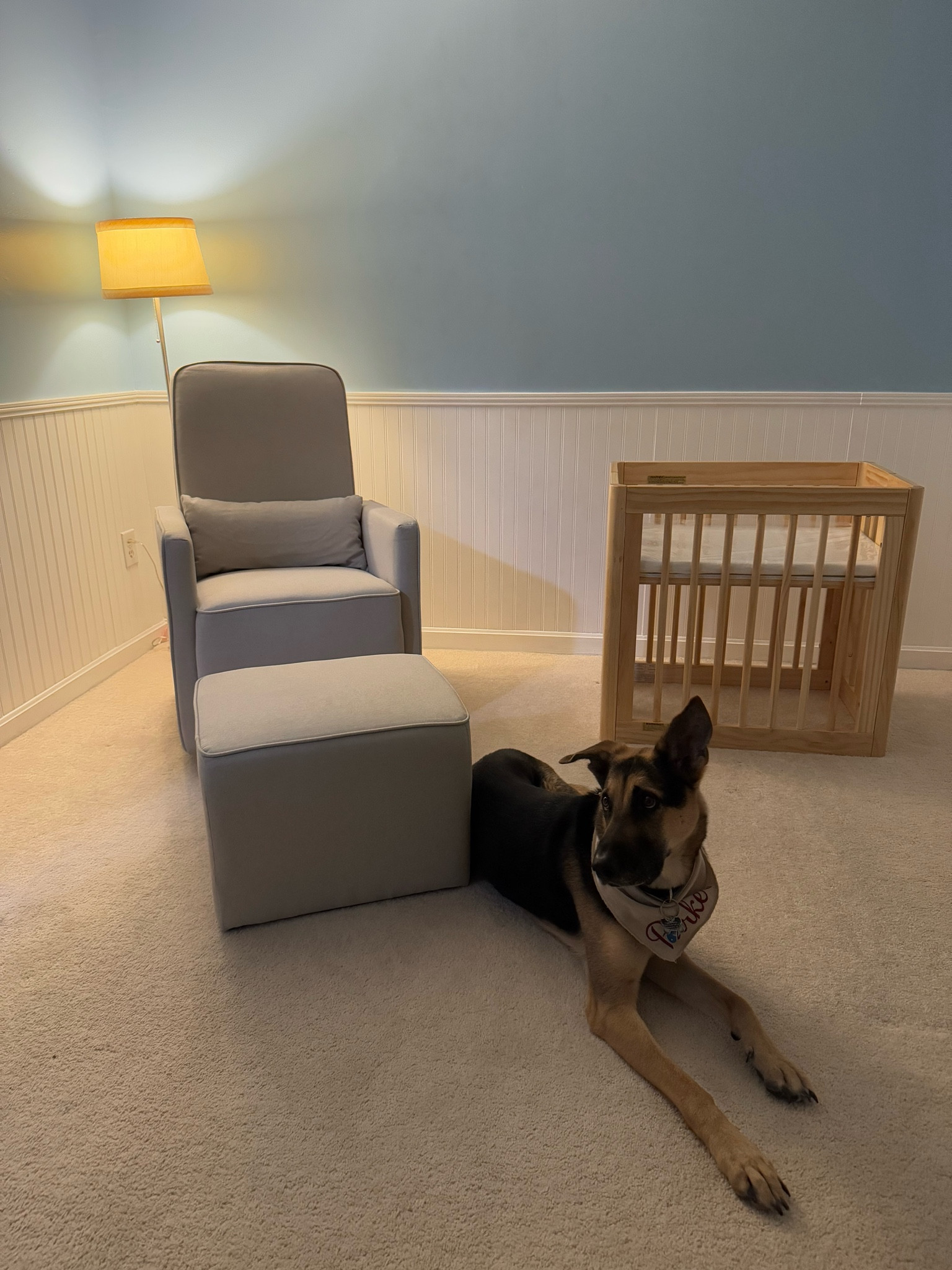 Nursery in progress! 💙 Nursery decor, swivel chair with ottoman, bassinet crib, crib, babyletto yuzu crib

#LTKBump #LTKBaby
