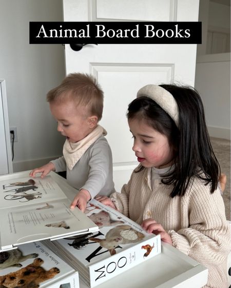 Our animal board books come in a set of 3. Both kids love/loved these! 



#LTKkids #LTKfamily #LTKbaby