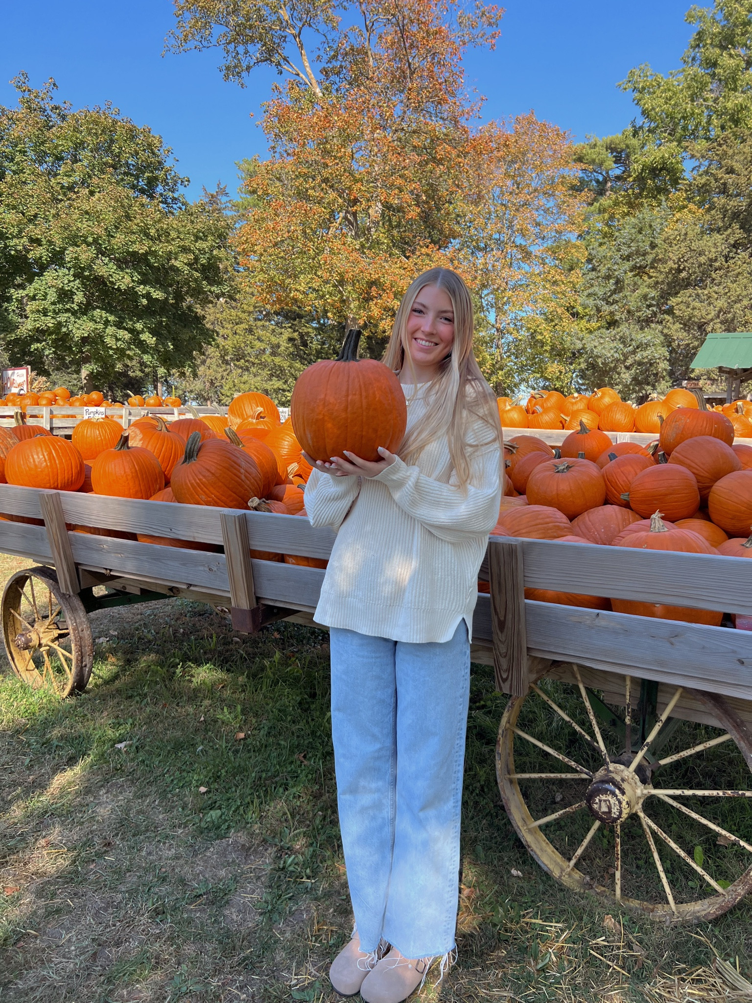 pumpkin patch outfit details! 

#LTKfindsunder50 #LTKbeauty #LTKSeasonal