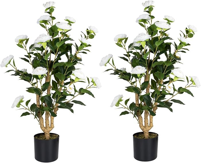 Howngyesimu Artificial Camellia Tree 2 Pack, 38’’ Faux Camellia Plant in Pot with White Flowe... | Amazon (US)