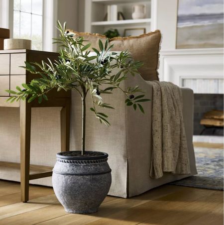 Ceramic Planter #ceramic #planter #studiomcgee #plantdecor #interiordesign #interiordecor #homedecor #homedesign #homedecorfinds #moodboard 

#LTKhome #LTKfindsunder100 #LTKstyletip