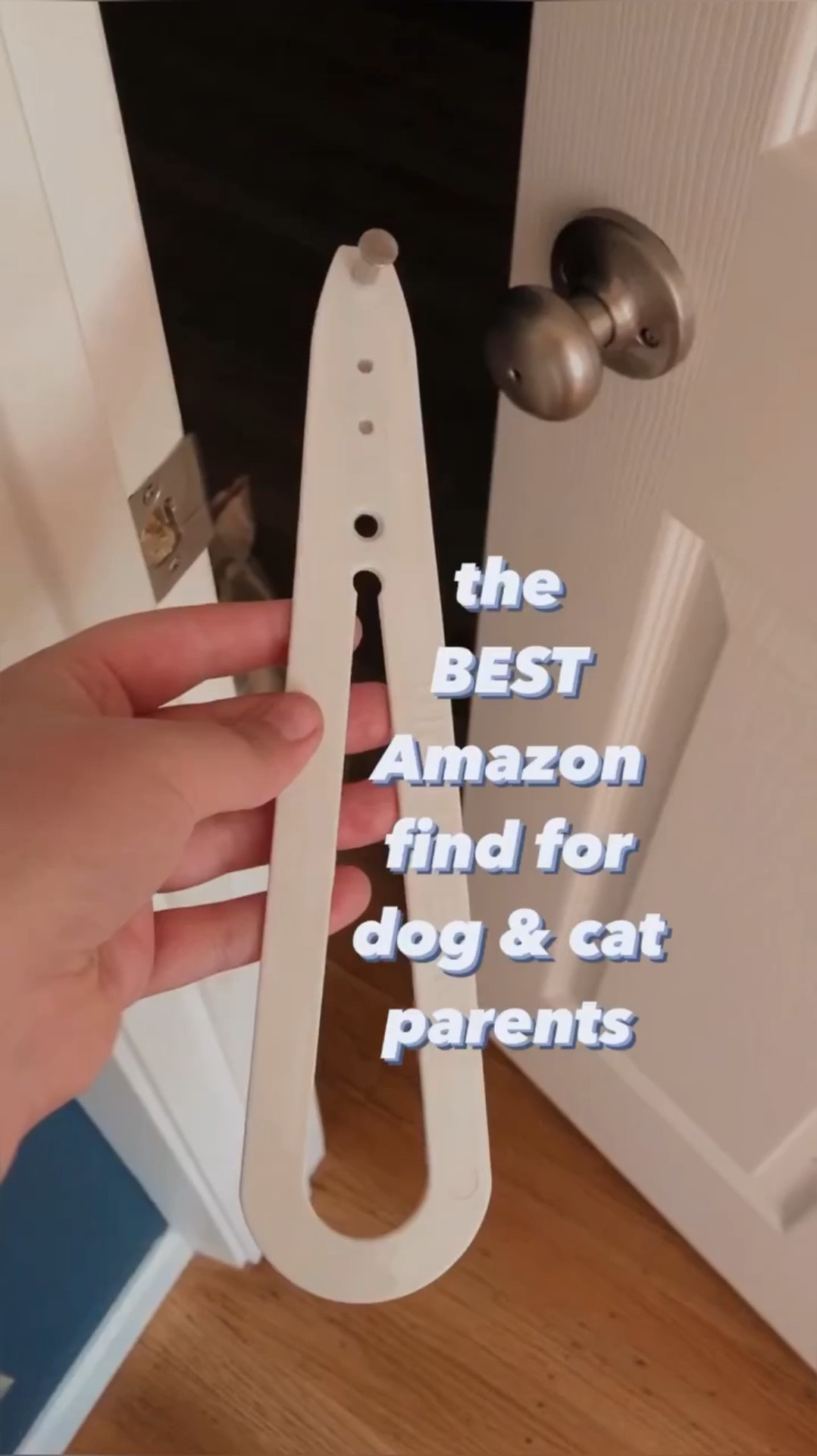 A must have for any multi-pet households! We have the regular and the XL and all our cats (big & small) fit easily! 

#LTKhome