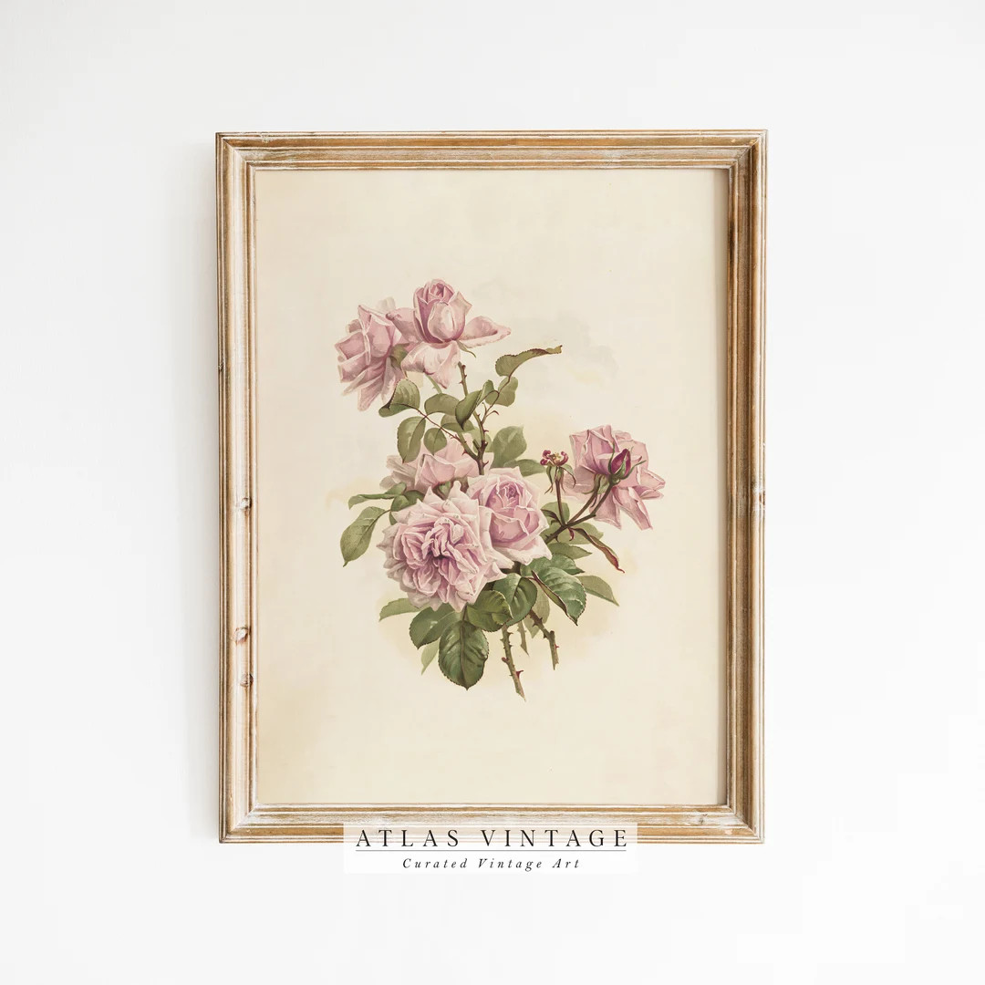 Vintage Floral Print, Antique Rose Printable Wall Art, Pink Flower Sketch, Botanical Farmhouse D... | Etsy (US)