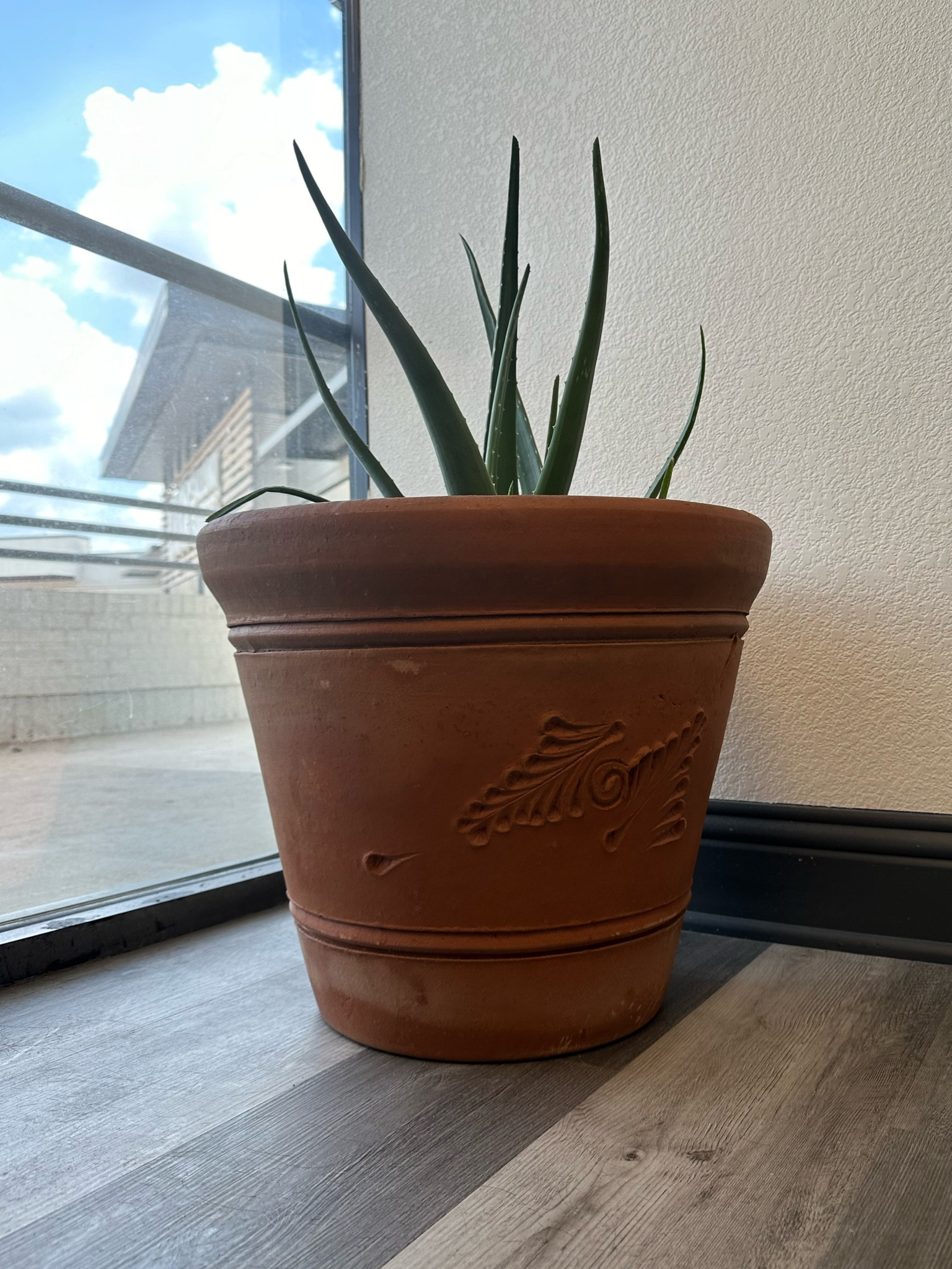 Planter with subtle design. Mexican feel

#LTKSeasonal #LTKHome