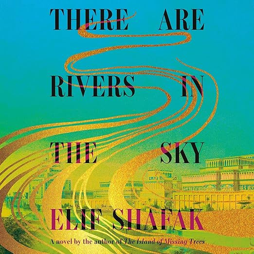 There Are Rivers in the Sky: A Novel | Amazon (US)