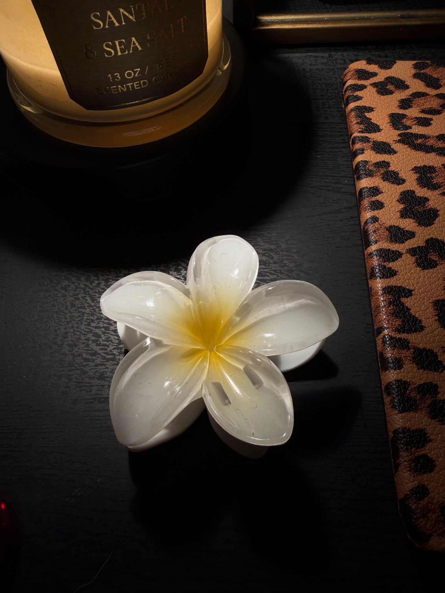 favorite summer clip 🌺 #clip #hairclip #summer #summervibes #musthaves #musthave #amazon #amazonfind #hair #viral #trending

#LTKBeauty #LTKHome #LTKmorningroutine