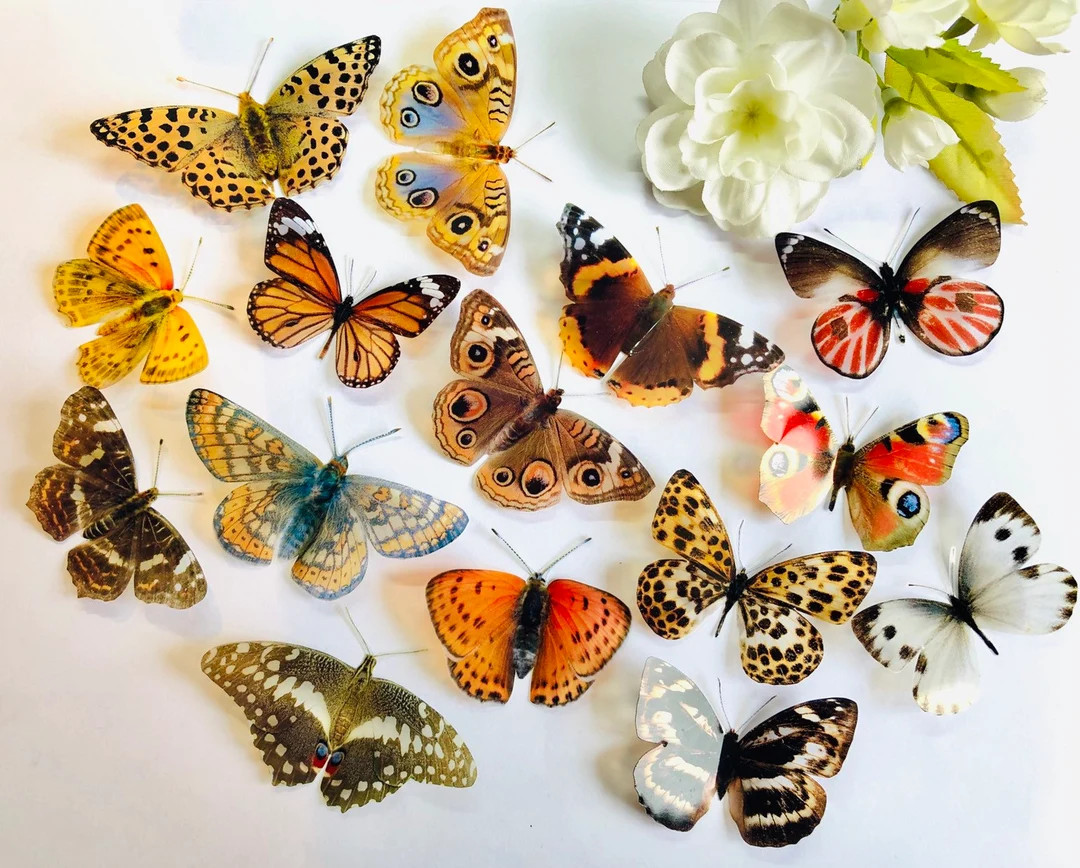 3D Decorative Butterflies X 15, 3D Butterfly Art, Wedding Embellishments, Craft Supplies, Craft B... | Etsy (US)