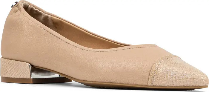 Ladonna Pointed Toe Pump (Women) | Nordstrom