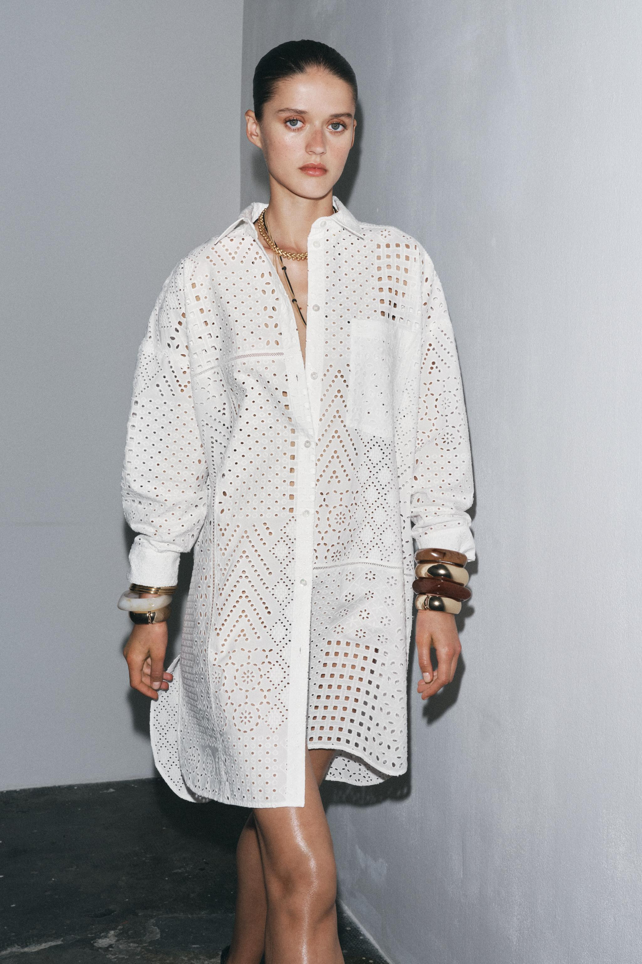 ZW COLLECTION EMBROIDERED EYELET DRESS | Zara Canada