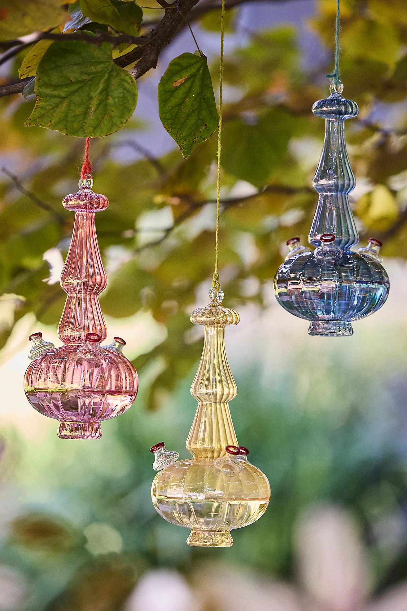 Glass Hummingbird Feeder | Anthropologie (US)