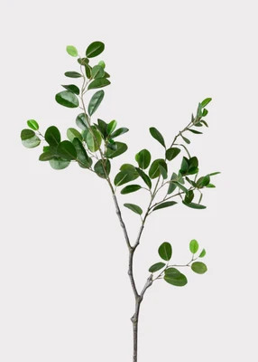 Fake Italian Ficus Branch - 38" | Afloral