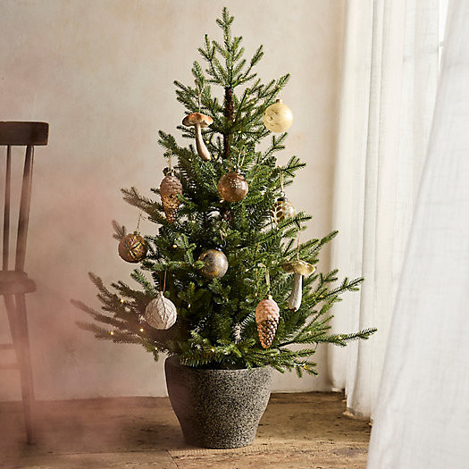 Pre-Lit Faux Potted Norway Spruce | Terrain