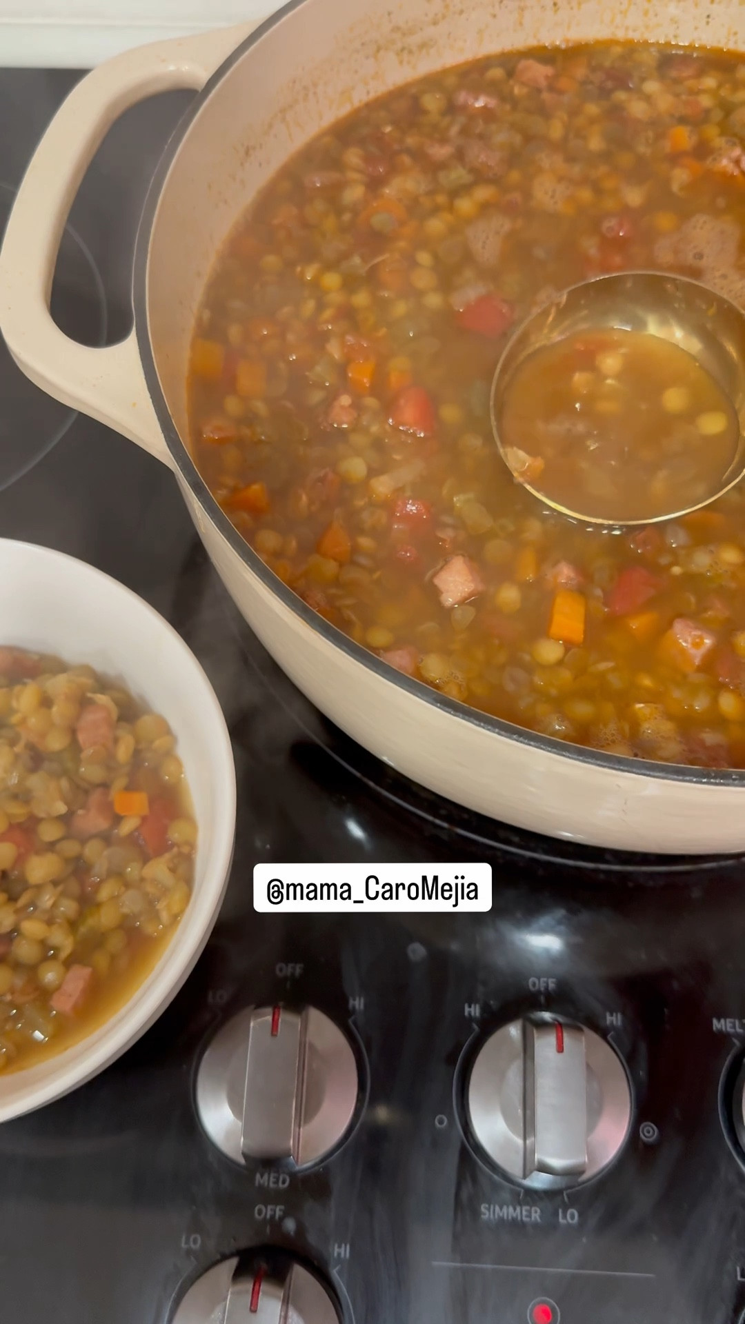 AMO mi olla de hierro!!! De la marca Lodge, es la mejor para hacer las sopitas y los guisados  mexicanos que mis hijos aman ❤️😋 

#LTKmomlife #LTKdayinmylife #LTKHome