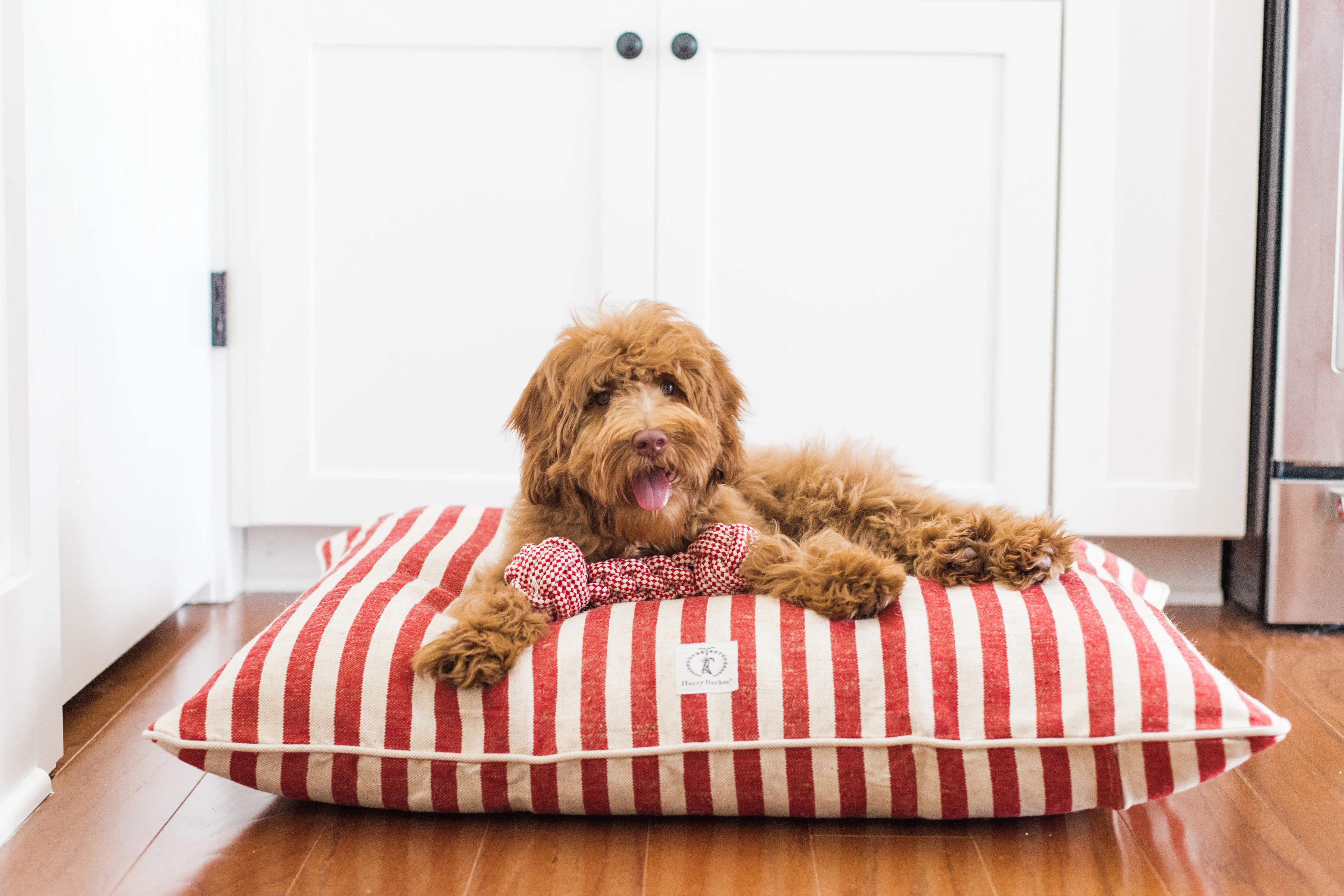 Striped Cotton Pet Bed | Wayfair North America