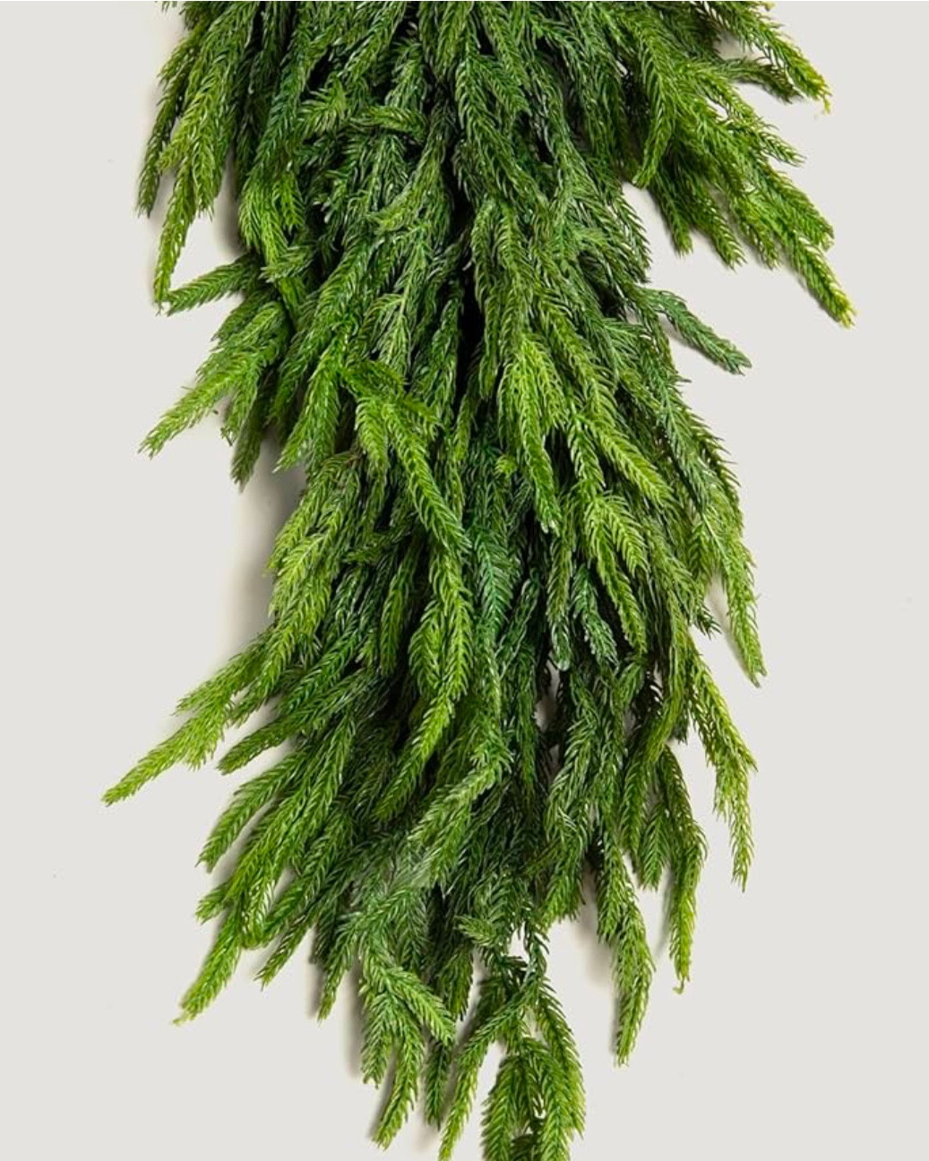 Wow, check out this gorgeous garland I found on Amazon… debating whether or not to get this! It’s SO beautiful and a faux of one of my favorite plants. A Norfolk Island Pine.

#LTKHome #LTKSeasonal #LTKHoliday