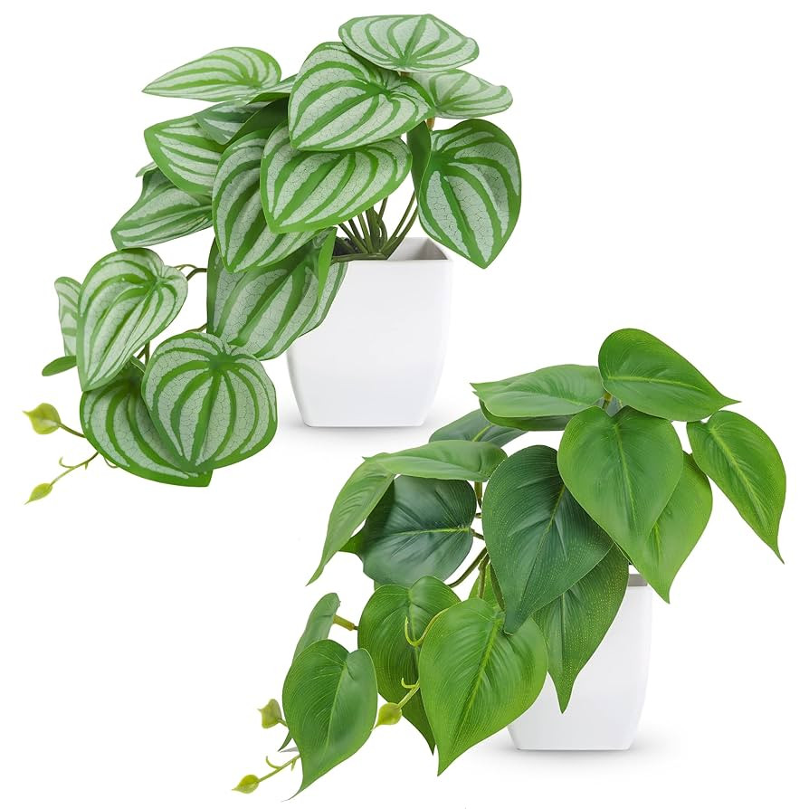 Der Rose 2Pcs Small Fake Plants Artificial Mini Faux Plants for Bathroom Office Desk Shelf Table ... | Amazon (US)