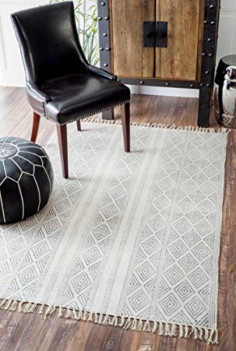 Handmade Flat Weave Striped Trellis Cotton Fringe Area Rug | Amazon (US)