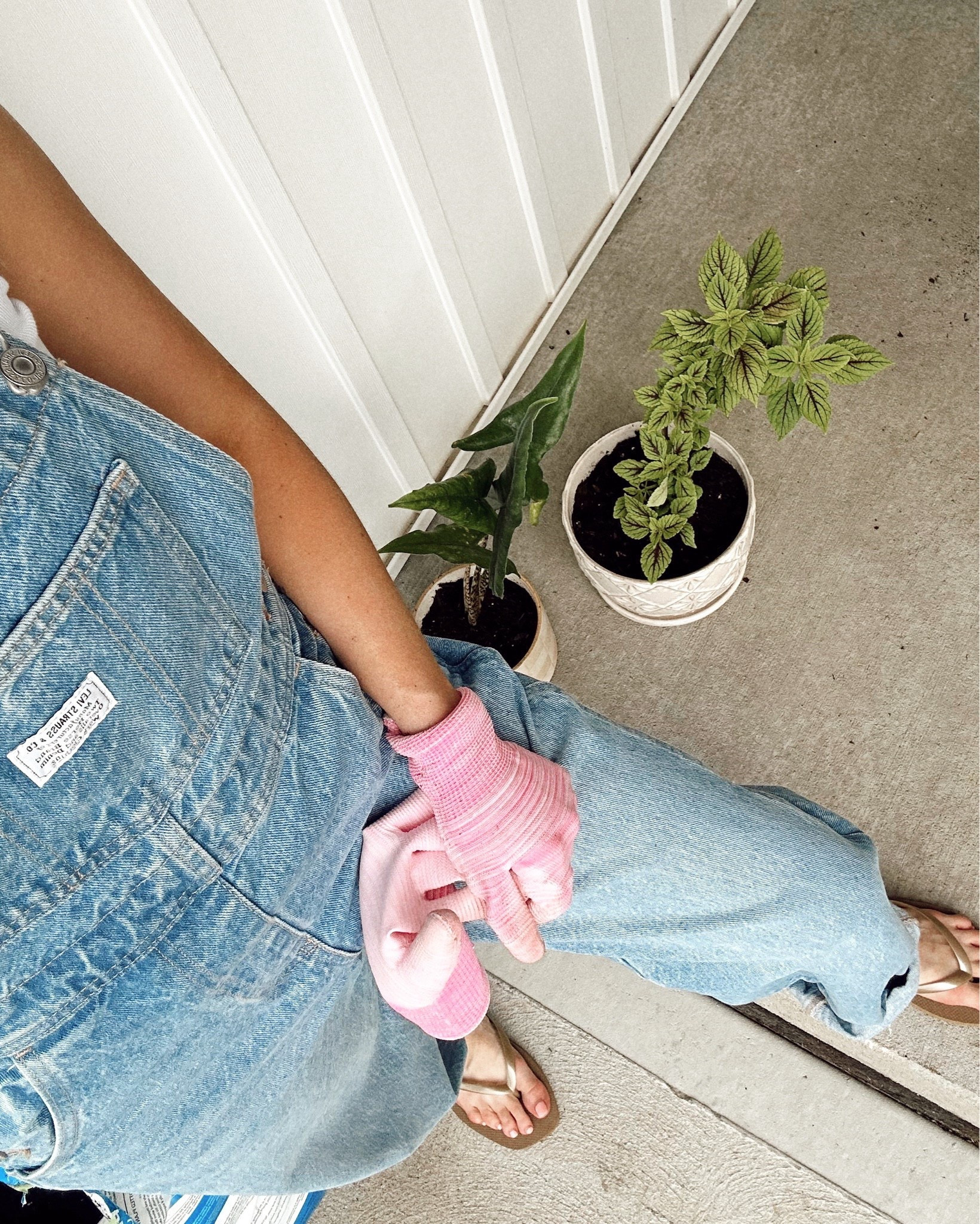 gardening faves + plant pots I’m loving 

green thumb, homesteading, garden, farm to table, healthy family, growing our own food, plant lady, homestead 

#LTKU #LTKHome #LTKSummerEdit