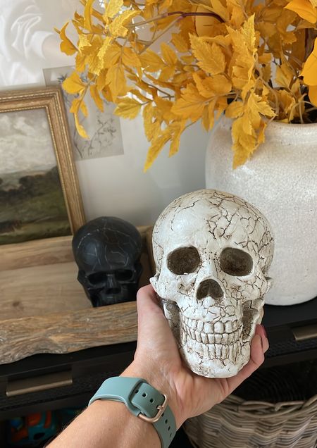 Halloween decor: set of skulls 💀! Under $20 for both. 

#LTKhome #LTKHalloween #LTKunder50