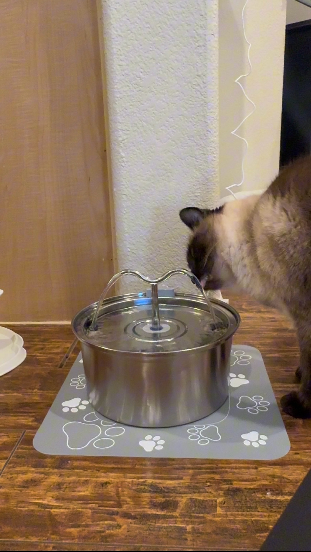The kitty babies got an upgrade to a stainless steel water fountain ⛲️😍💦 @DOOOB Direct 🩵 mute water pump with almost no sound, dishwasher safe (except pump & filters), prevents cat black chin, & more! This has been perfect for our household and they already love it! So glad we switched to stainless steel 🙌🏼🐱💛 #stainlesssteelwaterfountain #catwaterfountain #catwaterdispenser #petwaterfountain #petwaterdispenser #waterfountain #petwater #ltkpets #ltkcats

#LTKFamily #LTKPets #LTKHome
