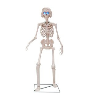 Joyward Esther The Skeleton, 5 ft | CVS Health