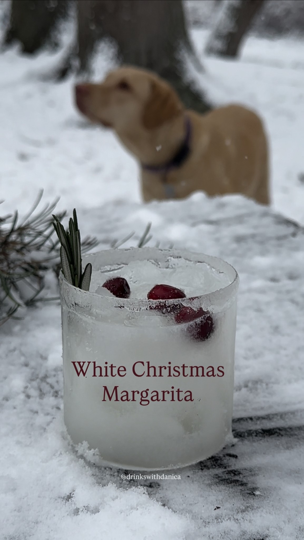 White Christmas Margarita

Follow me on Instagram and TikTok @drinkswithdanica for this recipe and more 