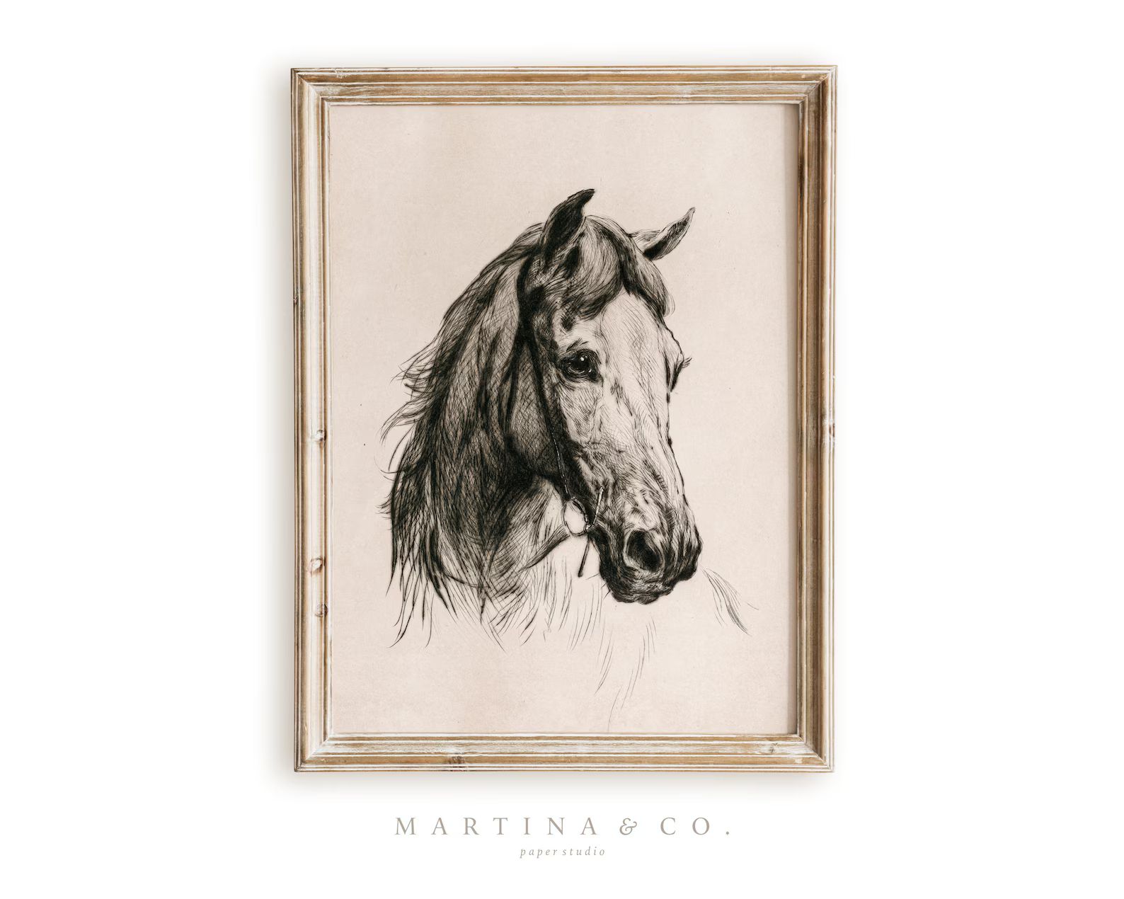 Horse Sketch | Vintage Painting | Digital PRINTABLE Wall Art | Etsy (US)