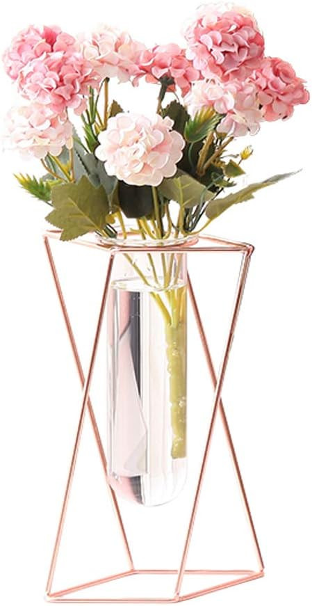 Aoderun Glass Flower Vase with Metal Stand Modern Geometry Desktop Glass Planter Indoor Hydroponi... | Amazon (US)