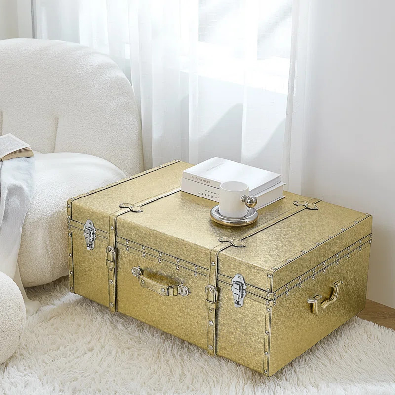 DormCo Texture Brand Trunk - Stone Taupe Raindrops | Wayfair | Wayfair North America