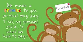 Welcome Little One: The Perfect Baby Shower and Newborn Gift! (Welcome Little One Baby Gift Colle... | Amazon (US)